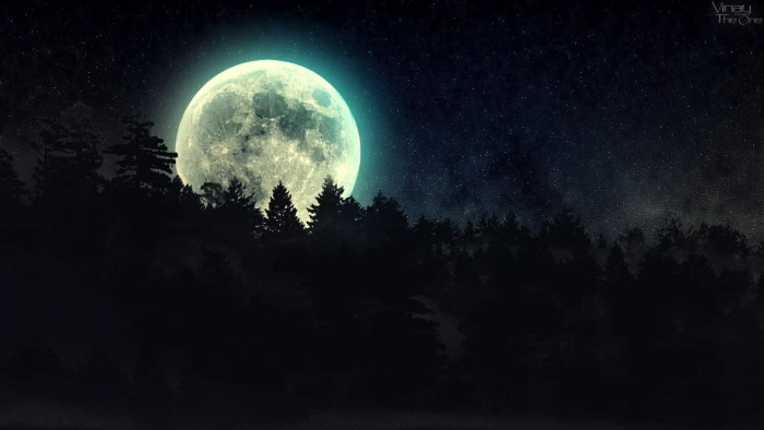full moon wallpaper night forest stars fantasy art space 2k