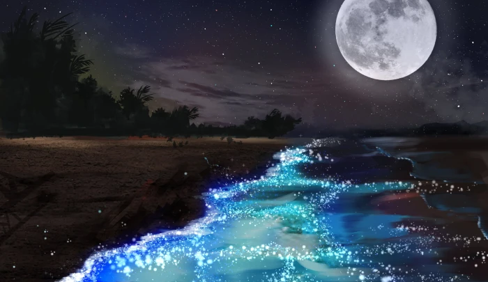 full moon artwork sky stars forest water clouds beach 2k
