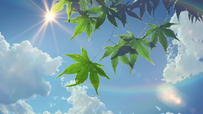 green leafed plant cannabis leave under stratocumulus clouds 2k