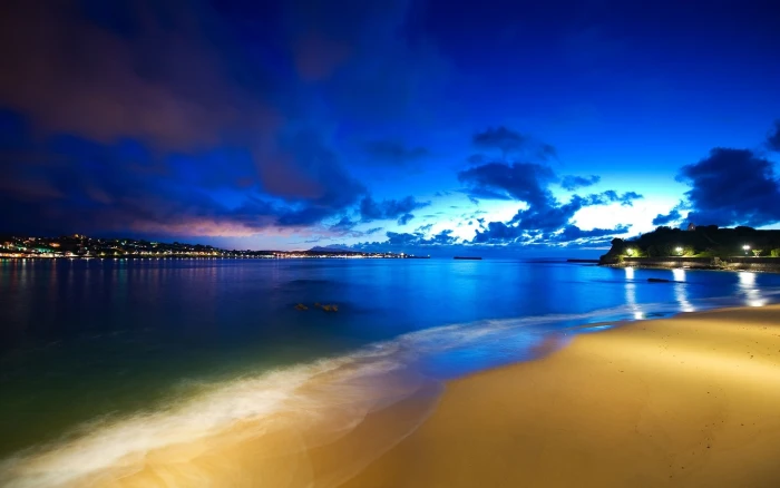 green leafed tree beach water sky sea illuminated cloud 2k