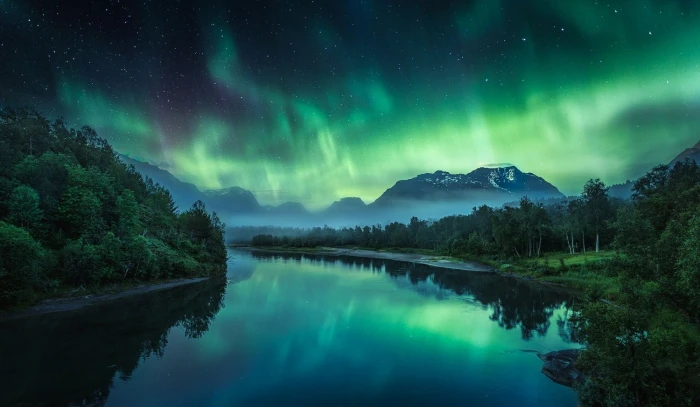 green tree photography nature landscape river aurora borealis 2k