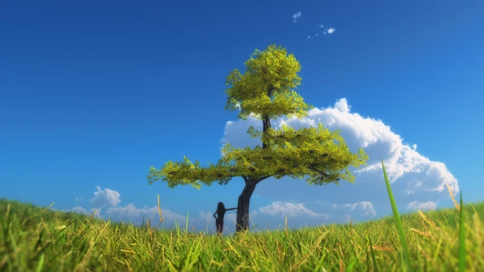 green leafed tree landscape trees sky clouds nature plant 2k