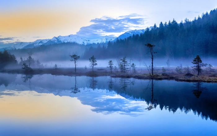 green tree and body of water nature landscape mist lake forest 2k