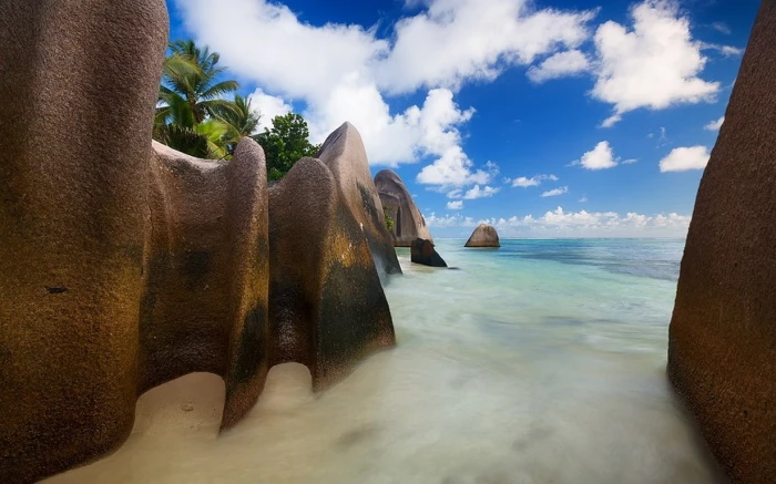 landscape nature beach rock clouds sea sand palm trees