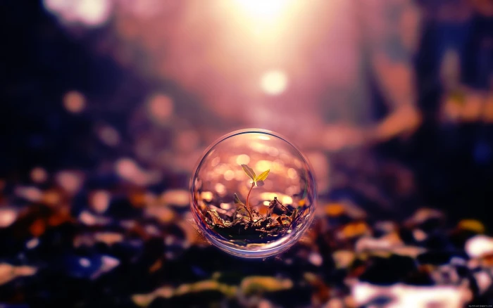 Little plant in a bubble round glass decor nature 2k