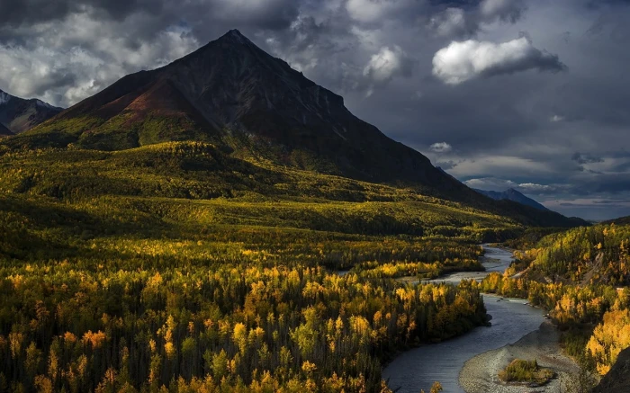 mountains and plants landscape photo of green yellow mountain