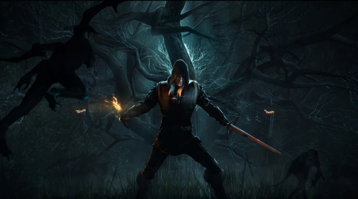 night sword torch The Witcher 3 Wild Hunt 2k