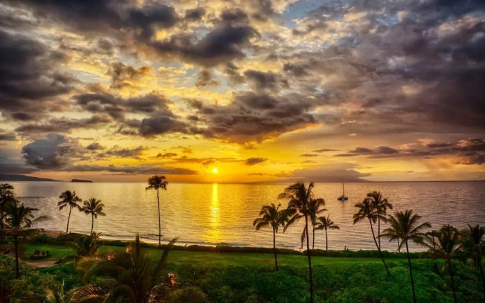 nature landscape island sunset beach palm trees sea sky