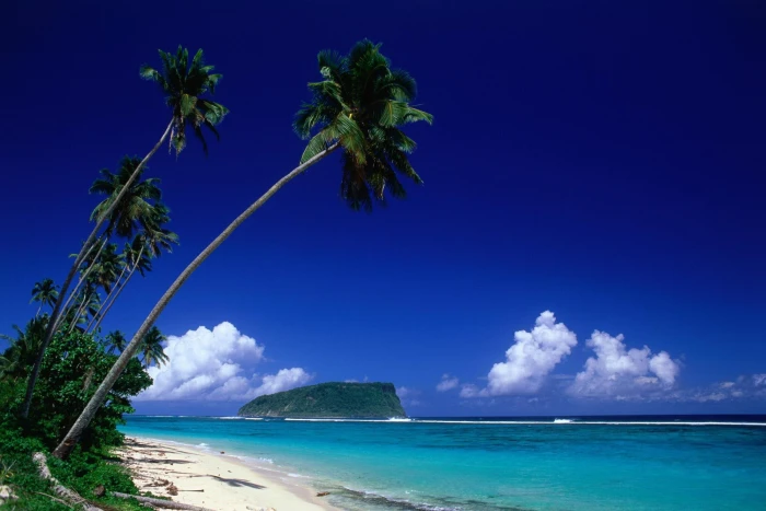 nature landscape palm trees beach sea clouds water sky 2k