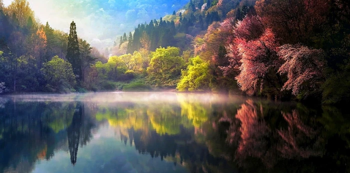 Nature Spring Sunrise Mist Lake Reflection Forest Landscape Water South Korea green mountain along with the body of water 2k