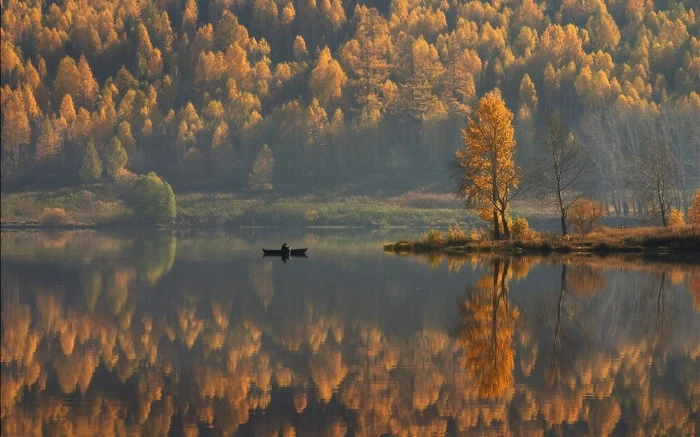 orange leaf tree nature landscape lake forest mountains