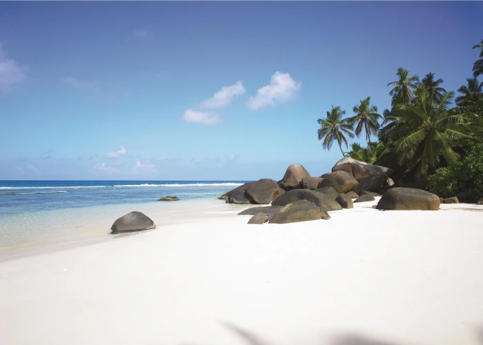 Paradise White S Beach Seychelles palm trees tropical nature 2k