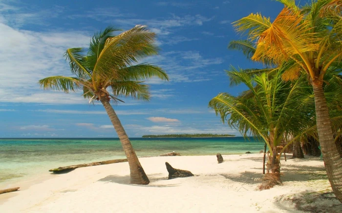 photography landscape nature island tropical palm trees