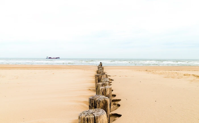 sea beach land water sky sand horizon over scenics nature 2k