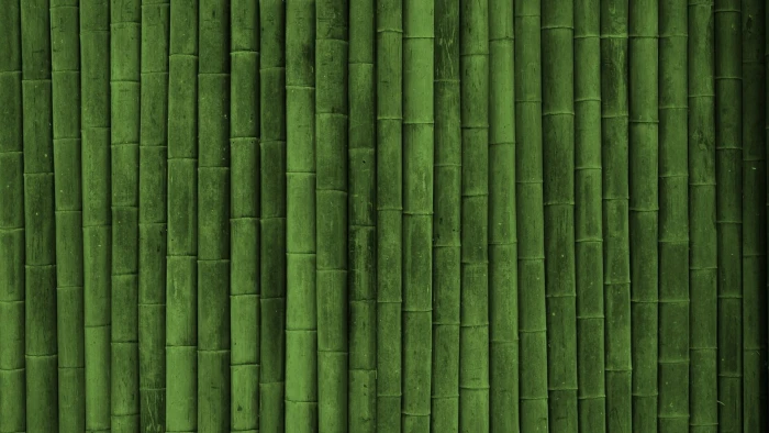 abstract bamboo wood material texture pattern plant leaf 2k