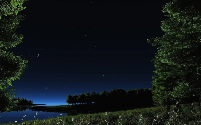 background pictures nature hd images night tree 2k