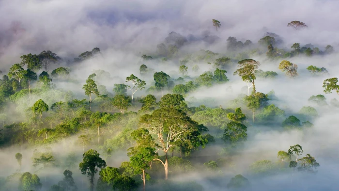 Bing photography nature 2k