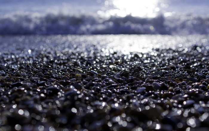 black and white floral textile beach selective focus no people 2k