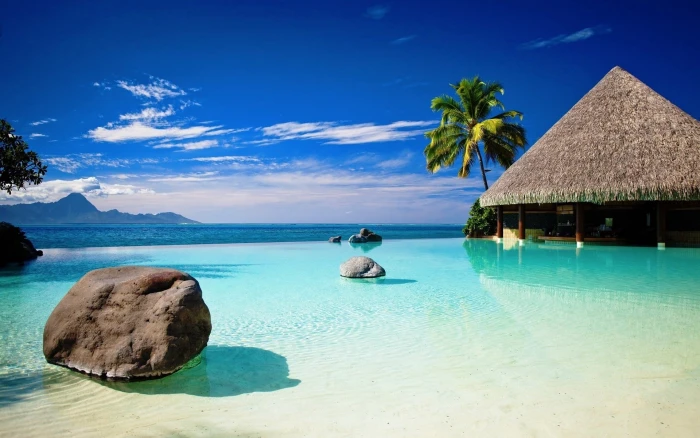 brown hut beach sea rocks blue palm trees tropical sky 2k