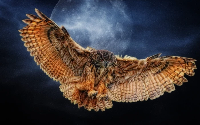brown owl Moon wings nature animals artwork fantasy art 2k