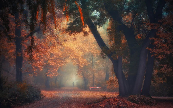 dried leaves on ground near tree illustration forest trees painting 2k