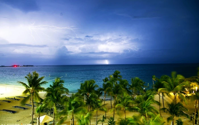 green coconut trees nature landscape clouds lightning storm 2k