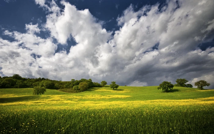 green grass field under blue and white cloudy sky during daytime 2k