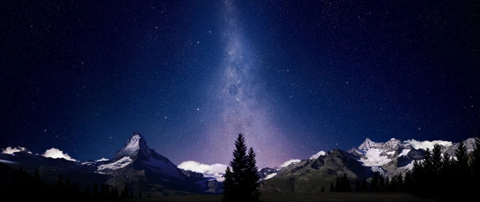 green leaf tree ultra wide photography landscape sky stars 2k