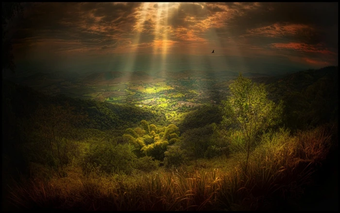 green tree nature landscape field village sun rays trees 2k