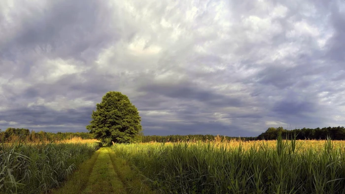 hd image of nature for pc 2k
