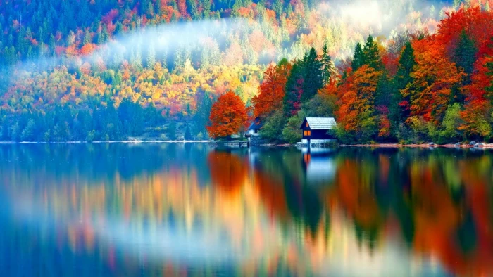 house and body of water nature landscape trees forest fall 2k