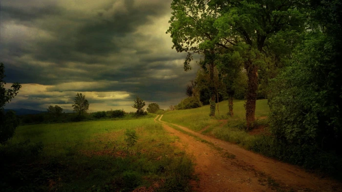 landscape photo of pathway with green grass under white clouds 2k