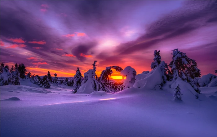 landscape nature purple sky winter snow sunset 2k