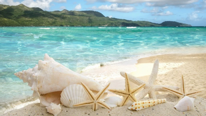 nature beach sand ocean sea shore vacation water tropical 2k