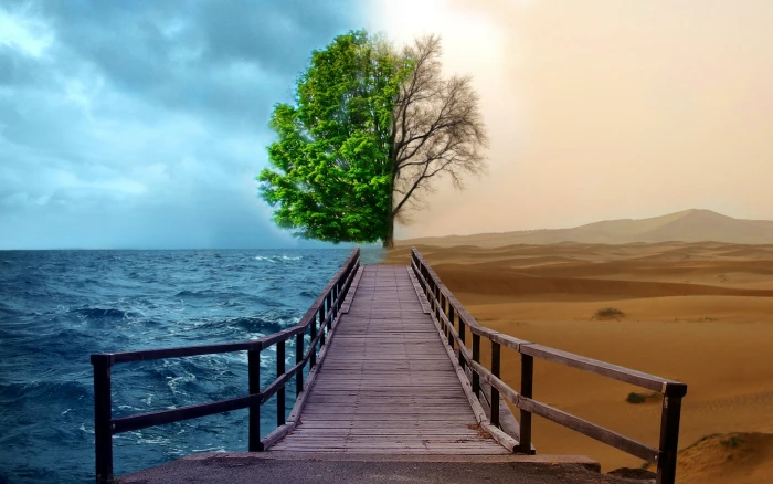ocean trees desert bridges opposing force good vs evil opposite Nature Oceans HD Art 2k