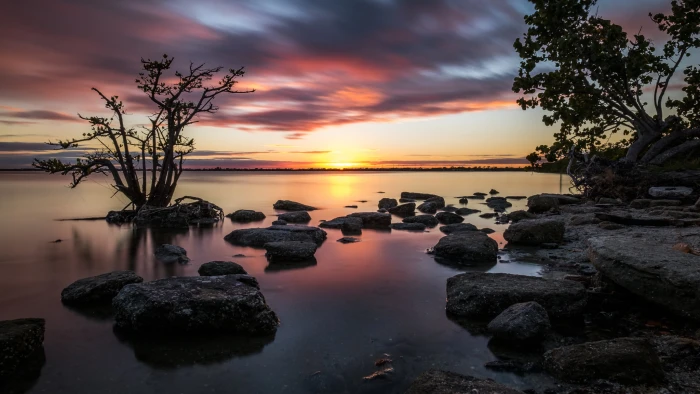 photo of gray rocks and green trees near body the water florida 2k
