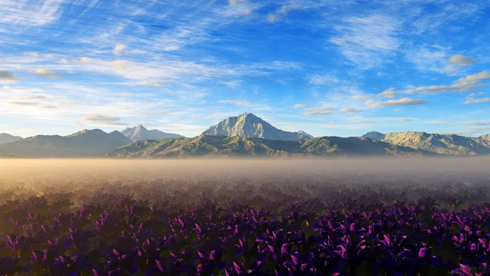 purple flower field landscape flowers nature mountains 2k