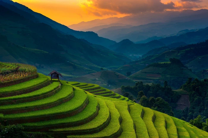 rice terraces landscape photography of Rice Terraces nature 2k