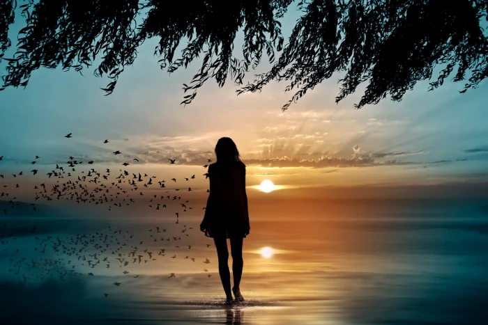 sea girl sunset silhouette women beach people nature 2k