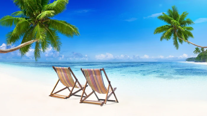 sea nature beach summer blue sky palm tree vacation 2k