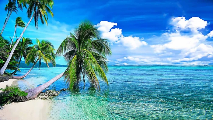 Summer Background Tropical Beach With Palmi okean Crystal Clear Water And White Clouds In The Sky Desktop Wallpaper Download Free 2k