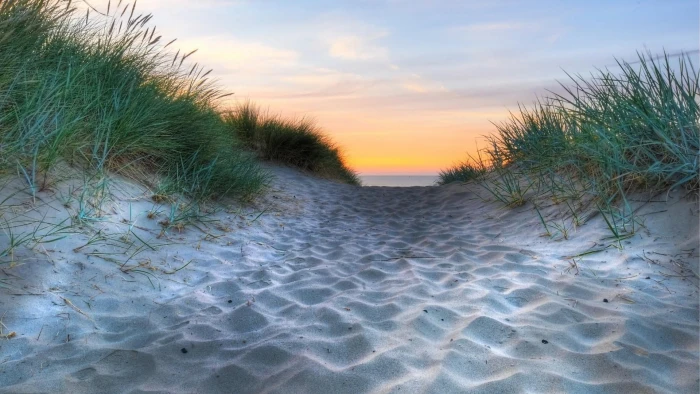 sunset sandy grass shore white sand beach dune sky land 2k