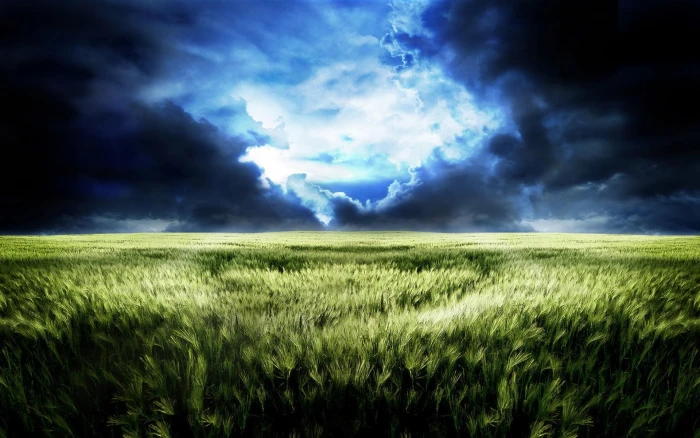 The dream world of endless wheat fields scenery 2k
