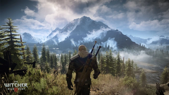 The Witcher game application screenshot 3 Wild Hunt 2k
