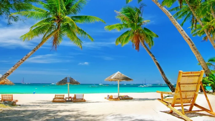 Tropical Beach Paradise HD Desktop Wallpaper palm tree tropical climate 2k