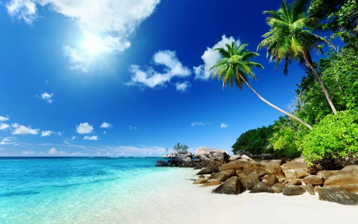 white sand beach by the sea nature tropical island clouds 2k
