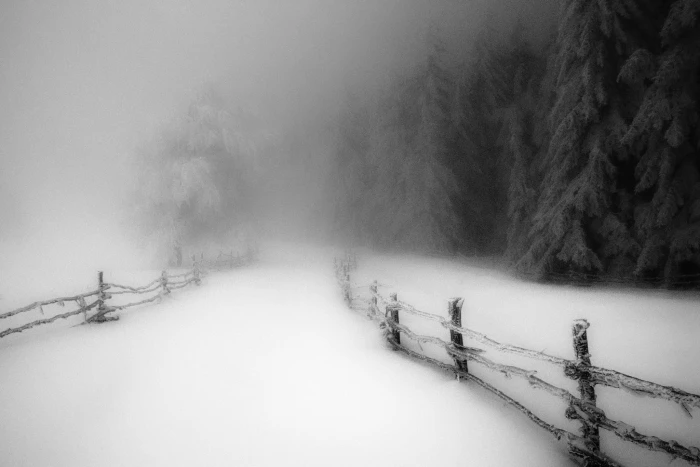 wooden fence landscape nature winter morning snow forest 2k