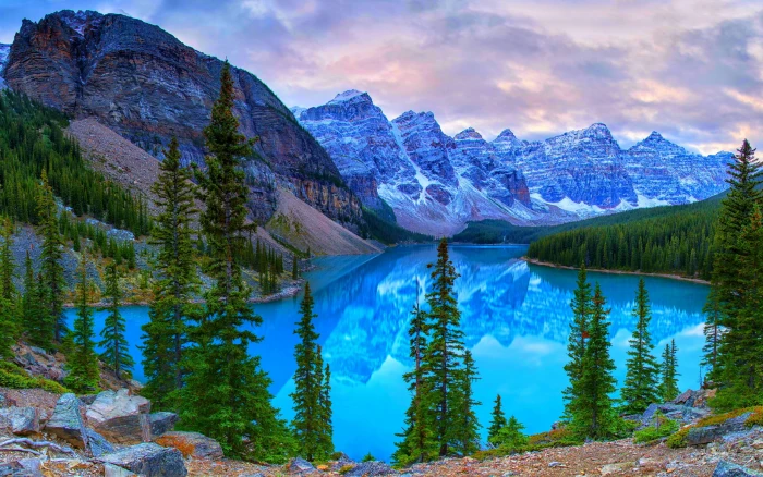 Windows 10 scenery theme desktop wallpaper 07 body of water and trees 2k