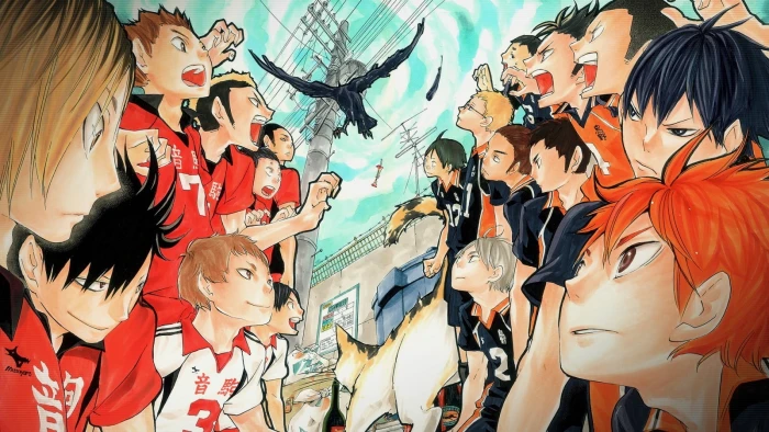 anime wallpaper Haikyuu representation human 2k