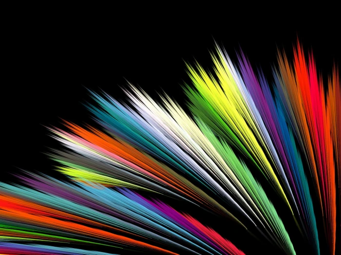assorted color leaves digital wallpaper abstract black colorful 2k